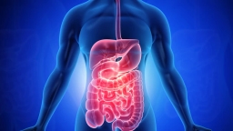 Thumbnail for video about teach me about my digestive system